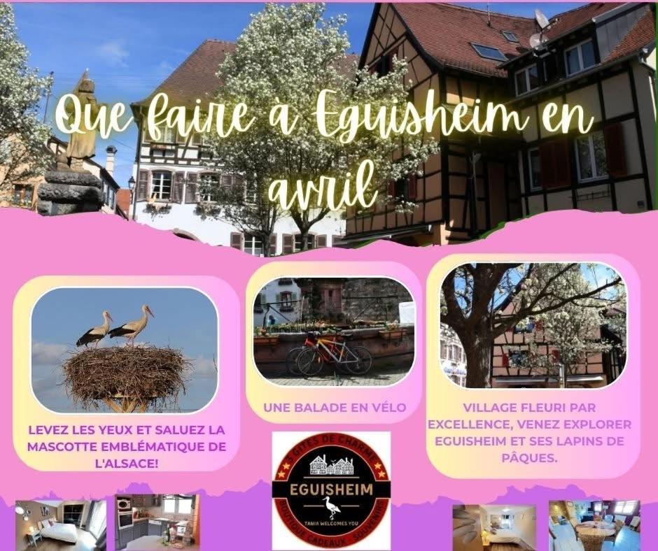 Gite Geranium*** Eguisheim Zewnętrze zdjęcie